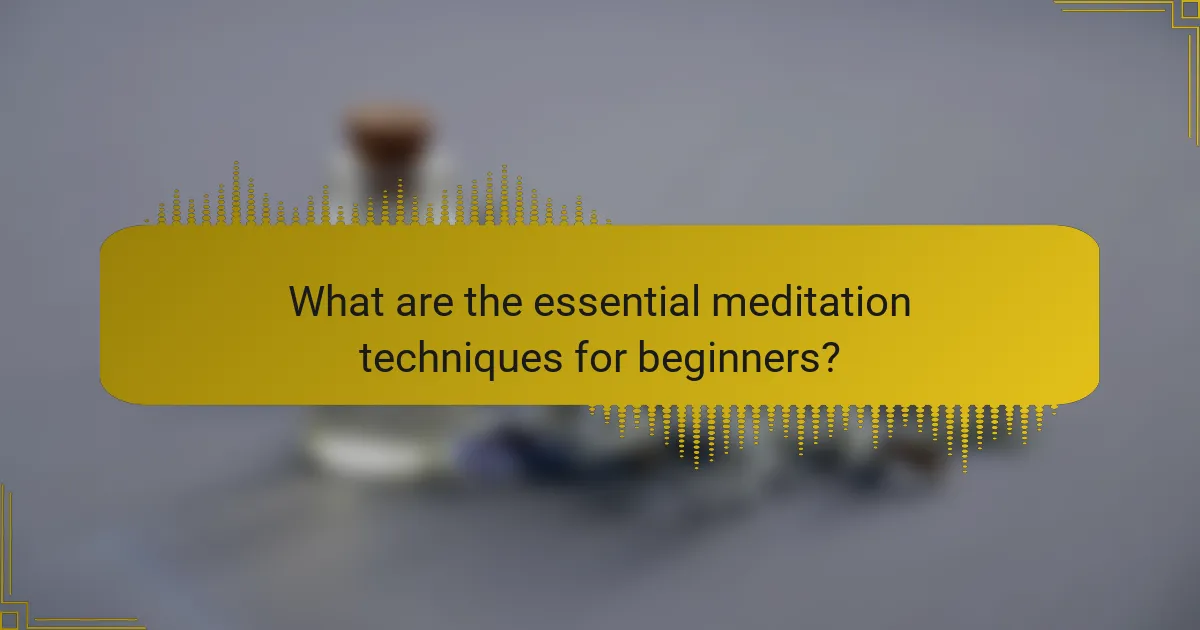 What are the essential meditation techniques for beginners?