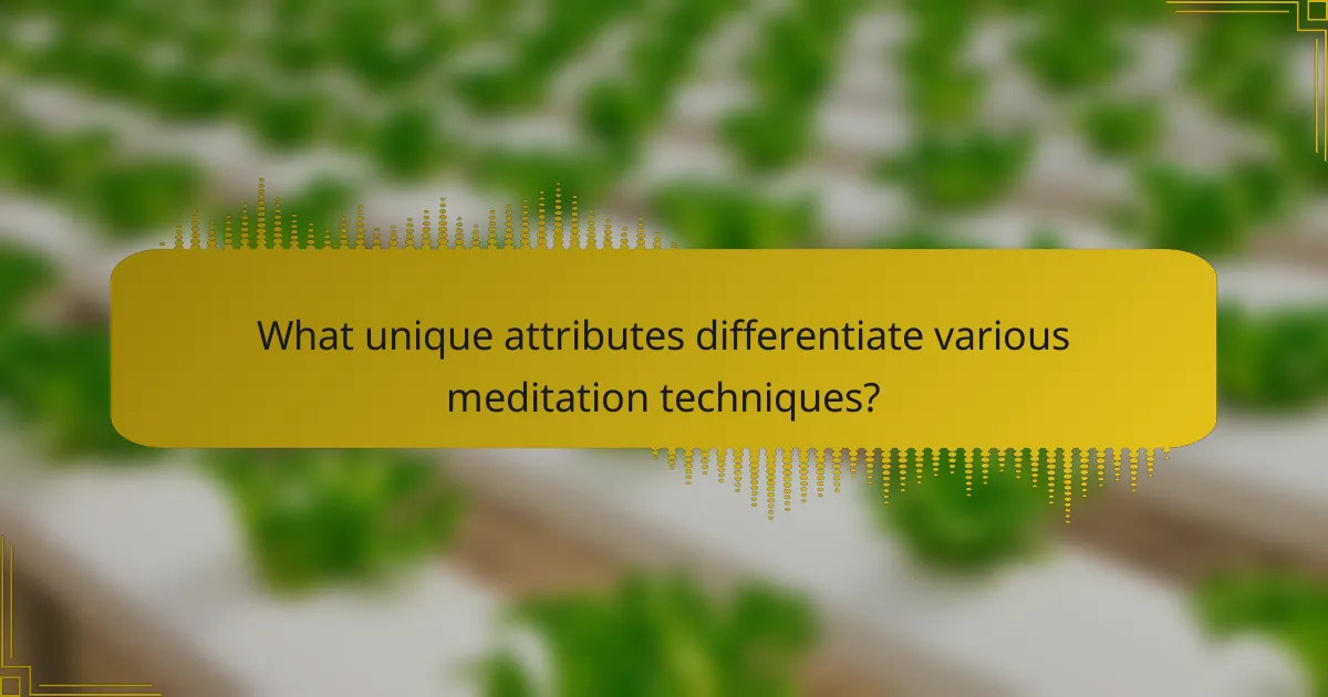 What unique attributes differentiate various meditation techniques?