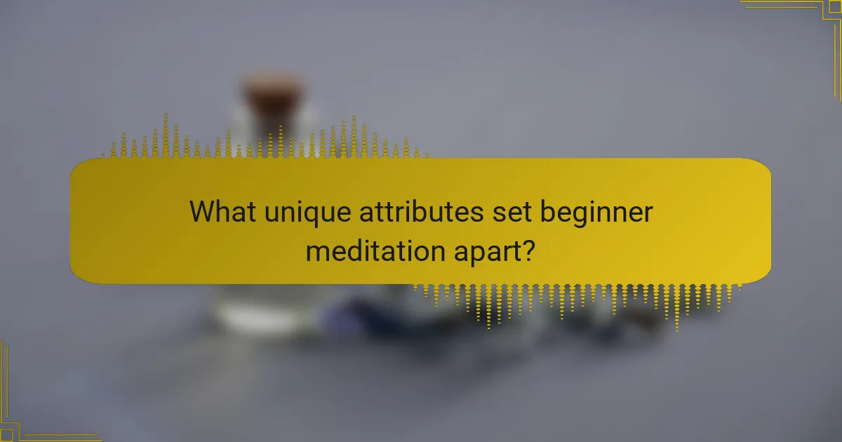 What unique attributes set beginner meditation apart?